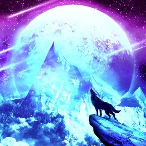 Meet your Posher, Nadia